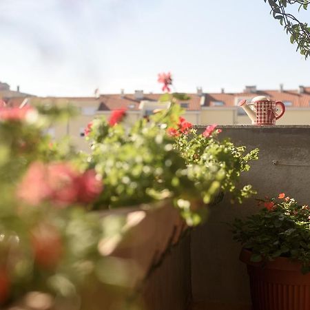 Basic Apartman Daire Zadar Dış mekan fotoğraf
