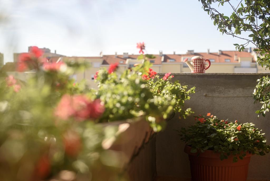 Basic Apartman Daire Zadar Dış mekan fotoğraf